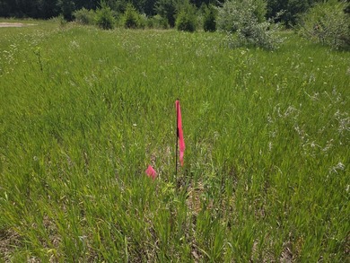 Large 1.43 Acre Corner Lot at Dutch Hollow Lake is waiting for - photo 2