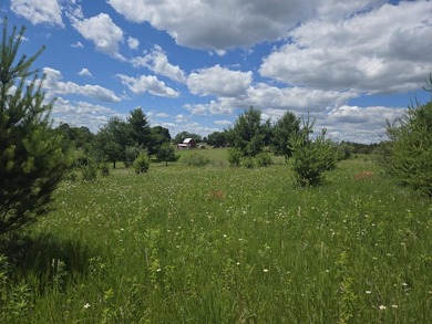 Large 1.43 Acre Corner Lot at Dutch Hollow Lake is waiting for - photo 3