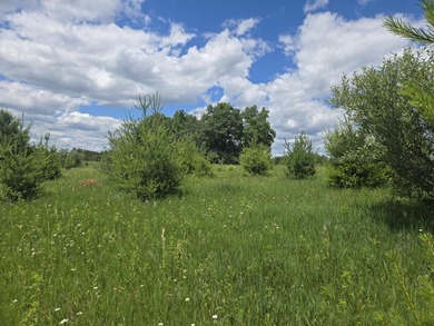 Large 1.43 Acre Corner Lot at Dutch Hollow Lake is waiting for - photo 4