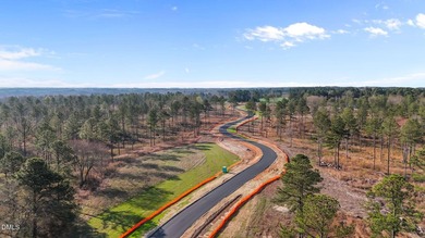 Discover 'The Pointe at Kerr Lake'. An exclusive pool community - photo 19