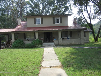 (private lake, pond, coastal) Home For Sale in Blue Mountain Mississippi