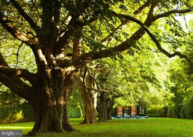Live authentically. Align forces with the internationally - photo 9