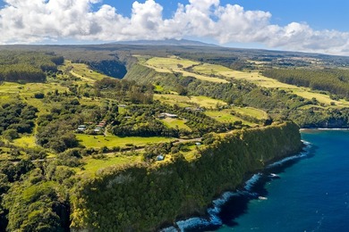 Royal Palms Estate is one of the most private oceanfront-style - photo 1