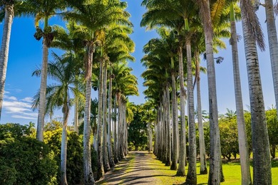 Royal Palms Estate is one of the most private oceanfront-style - photo 4