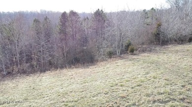 Norris Lake Lot For Sale in Lafollette Tennessee