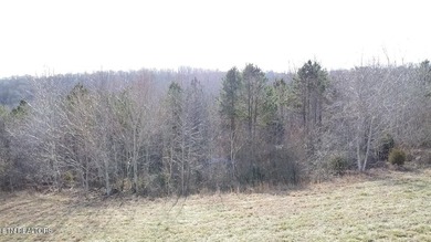 This .45 acre lot is located in beautiful Clearwater Cove on - photo 4