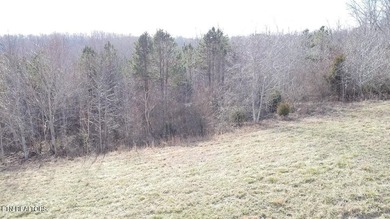 This .45 acre lot is located in beautiful Clearwater Cove on - photo 5