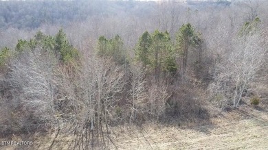 This .45 acre lot is located in beautiful Clearwater Cove on - photo 6