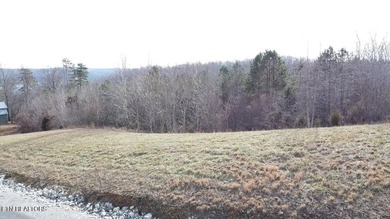 This .45 acre lot is located in beautiful Clearwater Cove on - photo 7