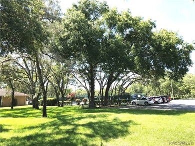 Premium home site in Oak Village at Sugarmill Woods located on a - photo 11