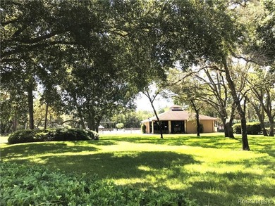 Premium home site in Oak Village at Sugarmill Woods located on a - photo 12