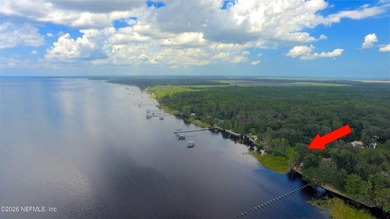 96 Acre Site - Gorgeous Old Florida River Front Lot ready to - photo 4