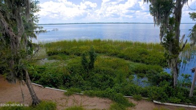96 Acre Site - Gorgeous Old Florida River Front Lot ready to - photo 8