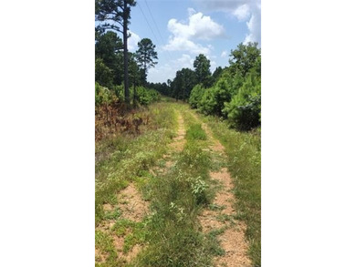 **Escape to the Kiamichi Wilderness and create your own private - photo 1