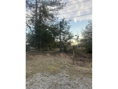 BEAUTIFUL 4.4 ACRES. OLD BARB WIRE FENCE AND POND. DRIVEWAY AND - photo 2