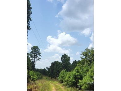 **Escape to the Kiamichi Wilderness and create your own private - photo 2