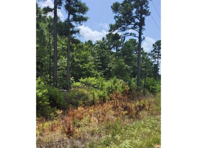 **Escape to the Kiamichi Wilderness and create your own private - photo 3