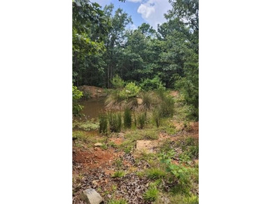 **Escape to the Kiamichi Wilderness and create your own private - photo 10