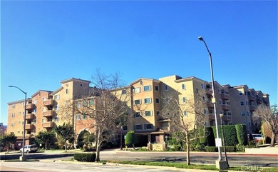 Village Court Development is a 55+ Senior Community which offers - photo 2