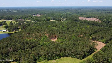 **Rare 19+ acre property** in the highly desirable West - photo 8