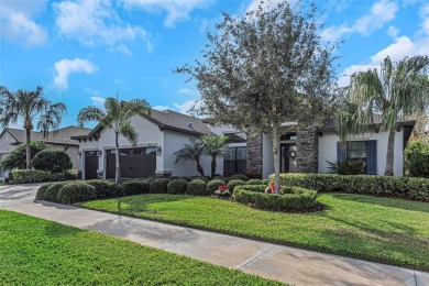 Lake Home Sale Pending in Palm Harbor, Florida