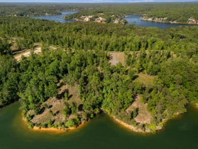 Located on the main channel near the dam at the mouth of Ryan - photo 6