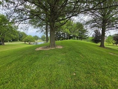 Nestled in a quiet, private lake community, this charming - photo 50