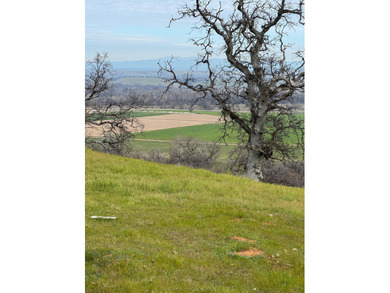 Sacramento River - Shasta County Lot For Sale in Cottonwood California