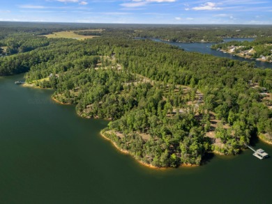 Located on the main channel near the dam at the mouth of Ryan - photo 4