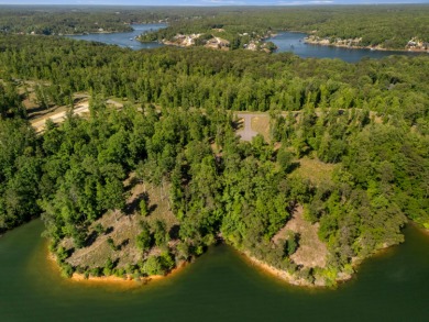 Located on the main channel near the dam at the mouth of Ryan - photo 6