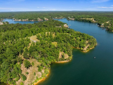 Located on the main channel near the dam at the mouth of Ryan - photo 8