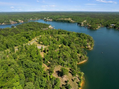 Located on the main channel near the dam at the mouth of Ryan - photo 9