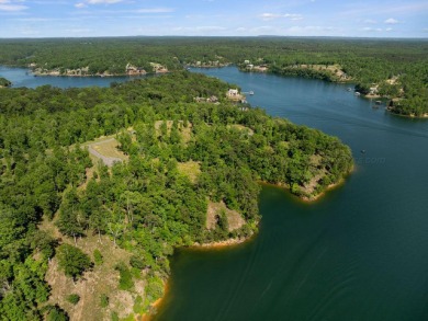 Located on the main channel near the dam at the mouth of Ryan - photo 10