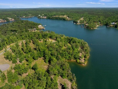 Located on the main channel near the dam at the mouth of Ryan - photo 5