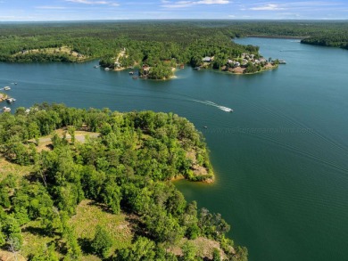 Located on the main channel near the dam at the mouth of Ryan - photo 7