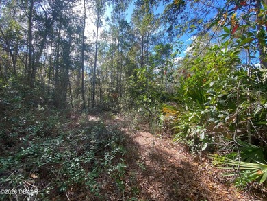 This HIDDEN GEM vacant land located in the rural community of - photo 2