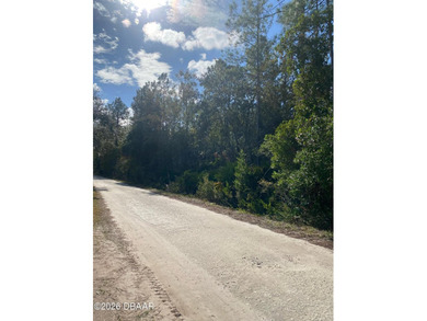 This HIDDEN GEM vacant land located in the rural community of - photo 3