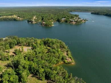 Located on the main channel near the dam at the mouth of Ryan - photo 7
