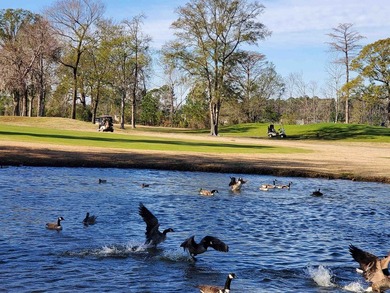 Welcome to your slice of Myrtle Beach paradise! Nestled in the - photo 34