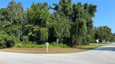 Lake Hernando Lot For Sale in Hernando Florida
