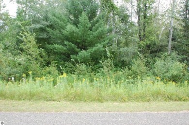 Flowage Lake Lot For Sale in West Branch Michigan