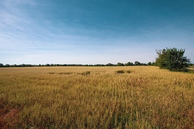 Prime 144 acre property in Pleasanton, KS. Less than an hour - photo 7