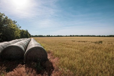Prime 144 acre property in Pleasanton, KS. Less than an hour - photo 8