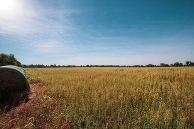 Prime 144 acre property in Pleasanton, KS. Less than an hour - photo 9