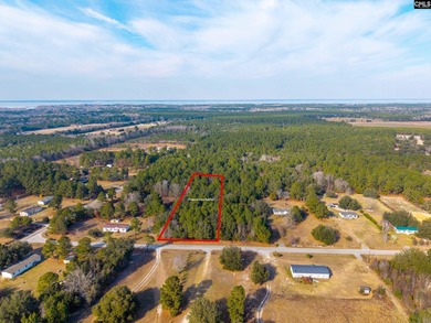 Lake Marion Lot For Sale in Eutawville South Carolina