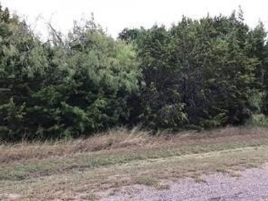 Lake Lot For Sale in Whitney, Texas