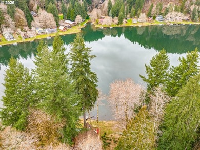 Oregon Lakefront Living. Step out onto your private dock for a - photo 30