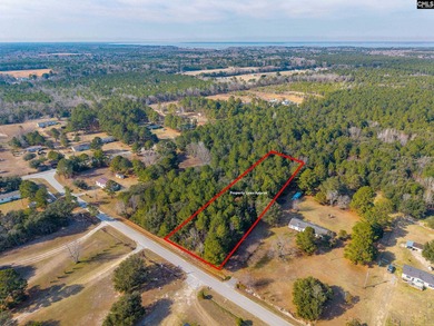 Lake Marion Lot For Sale in Eutawville South Carolina