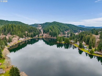 Oregon Lakefront Living. Step out onto your private dock for a - photo 31