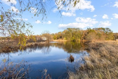 Bois D Arc Lake Acreage For Sale in Telephone Texas